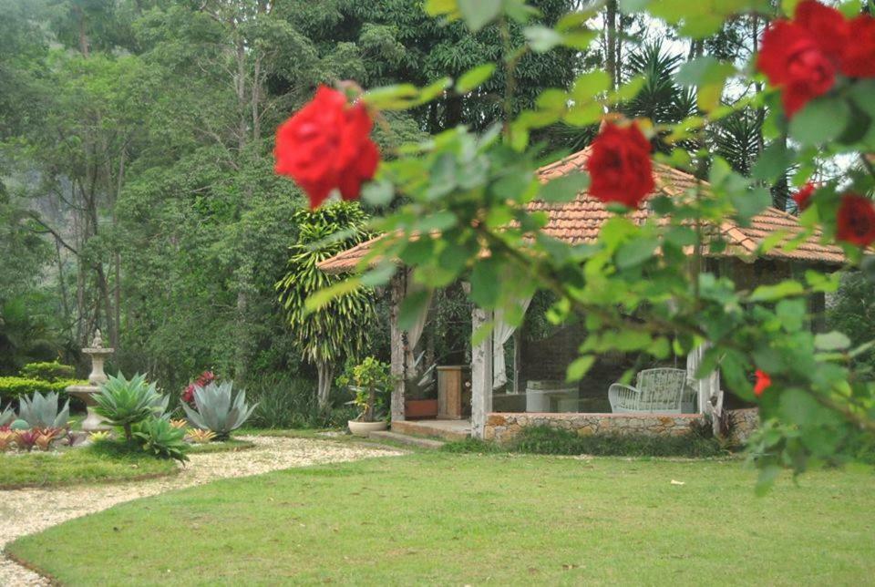 Pousada Quinta Dos Passaros Itaipava ภายนอก รูปภาพ